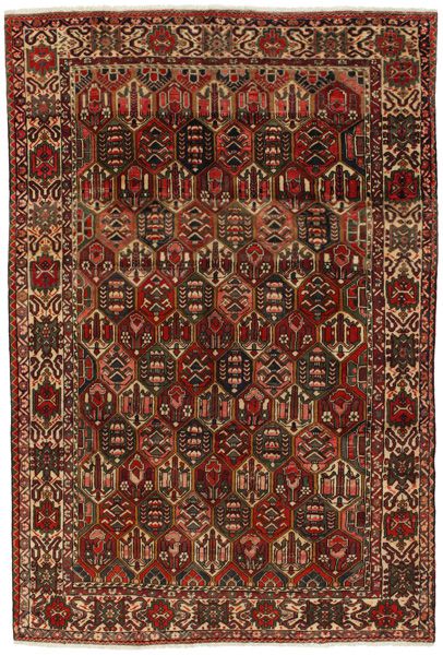 Baktjar - Garden Dywan Perski 305x205