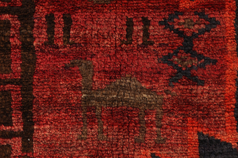 Lori - Baktjar Dywan Perski 215x169 - Zdjęcie 5
