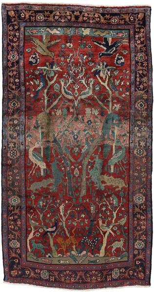 Saruk Dywan Perski 288x151