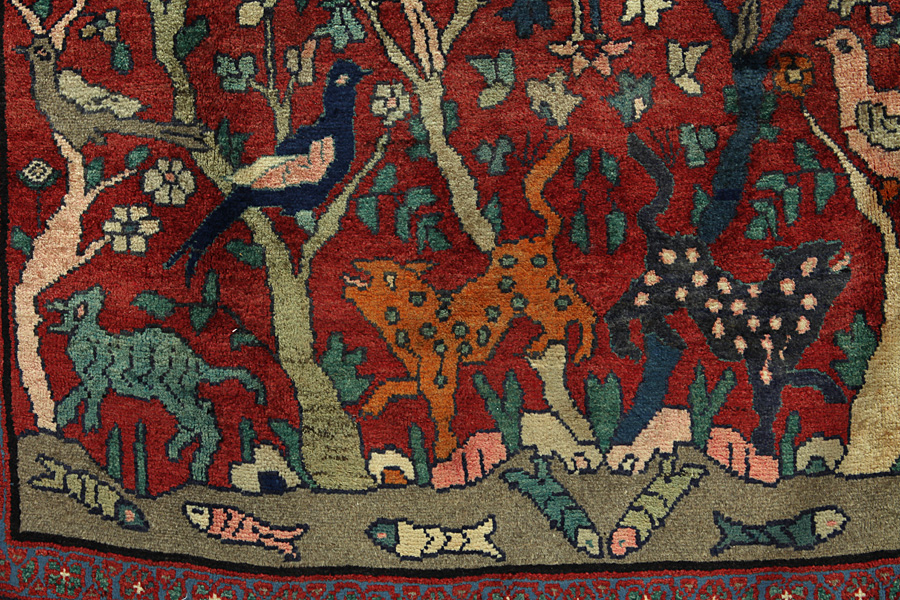 Saruk Dywan Perski 288x151 - Zdjęcie 6