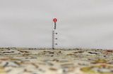 Kaszan Dywan Perski 356x235 - Zdjęcie 8