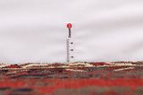 Afszar - Sirdżan Dywan Perski 260x143 - Zdjęcie 8