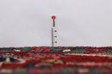 Bidżar - Kurdi Dywan Perski 308x155 - Zdjęcie 8